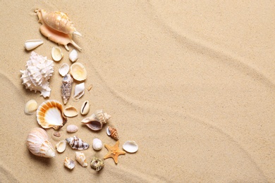 Photo of Beautiful seashells and starfish on beach sand, flat lay with space for text. Summer vacation