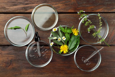 Photo of Flat lay composition with Petri dishes and plants on wooden table