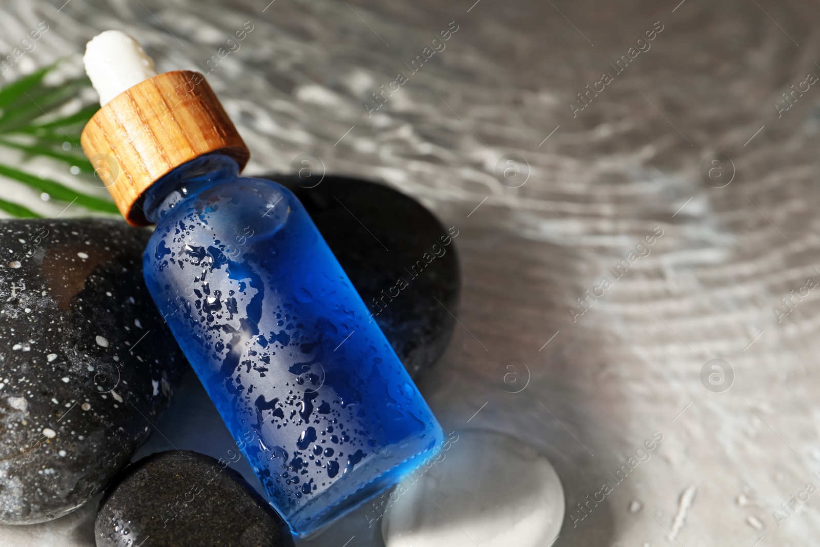 Photo of Bottle of face serum and spa stones in water on light background, closeup. Space for text