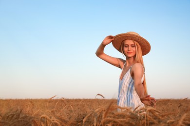 Woman in ripe wheat spikelets field. Space for text