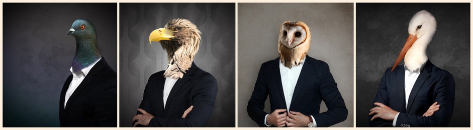 Businessmen with faces of different birds on dark background. Set of portraits