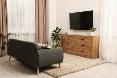 Cozy room interior with chest of drawers, TV set, sofa and decor elements