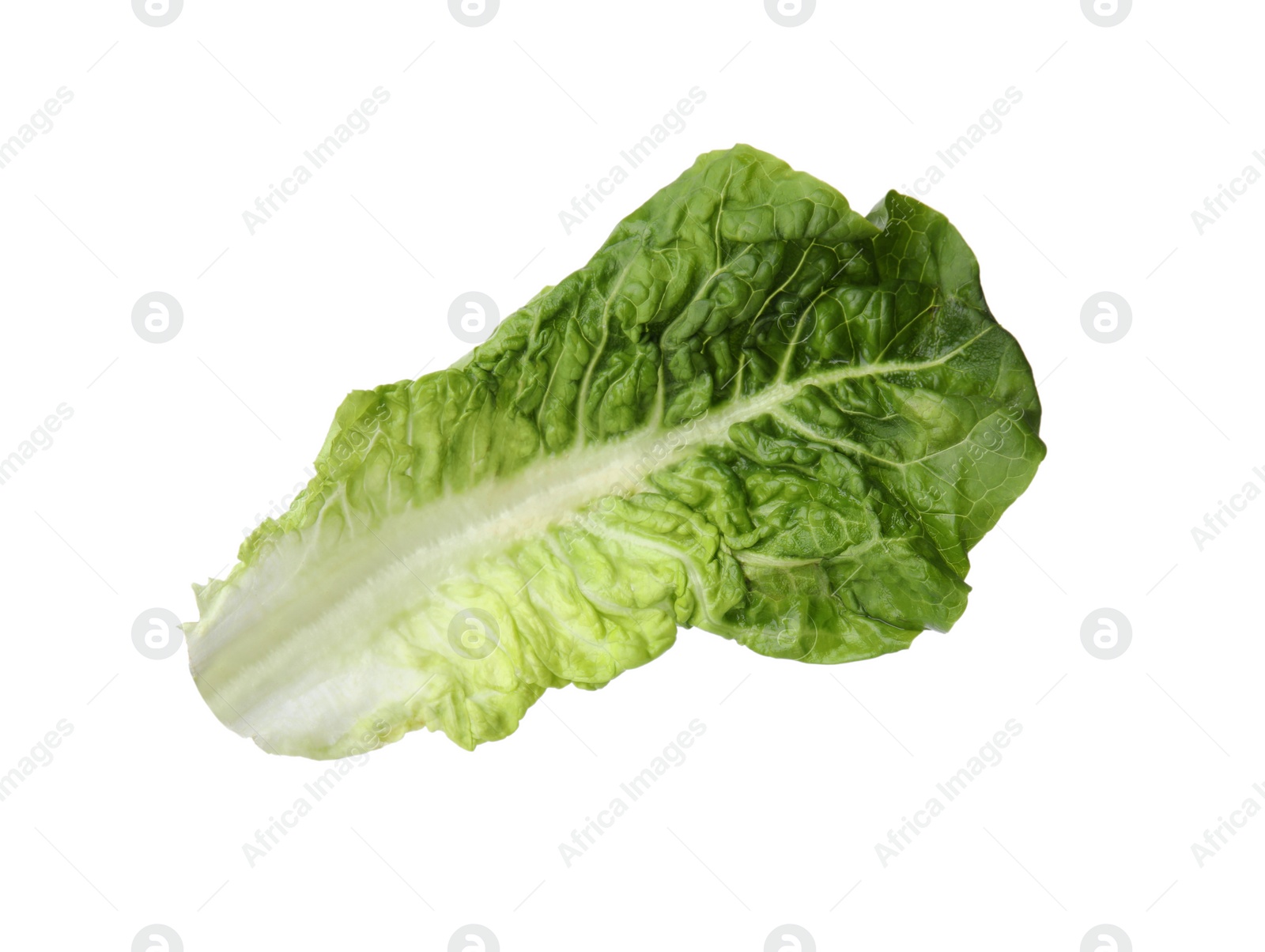 Photo of Fresh leaf of green romaine lettuce isolated on white