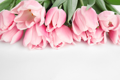 Beautiful pink spring tulips on white background, closeup