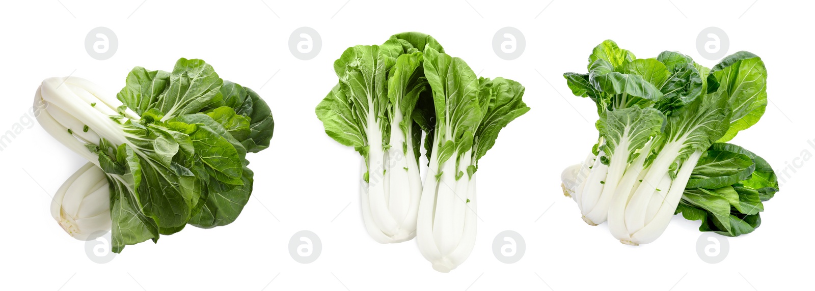 Image of Collage with fresh pak choy cabbages on white background