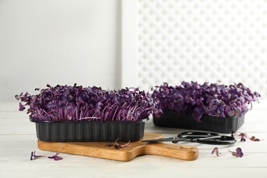 Fresh radish microgreens in plastic containers on white wooden table