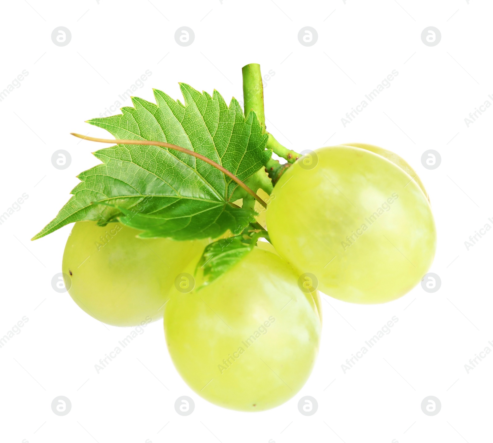 Photo of Fresh ripe juicy grapes isolated on white