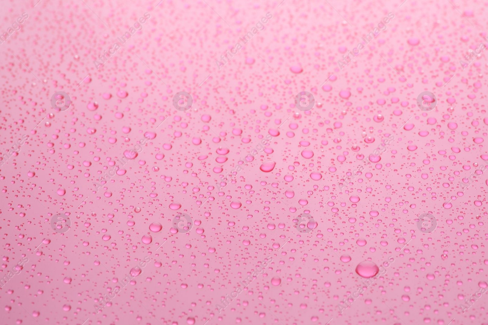 Photo of Water drops on pink background, closeup view