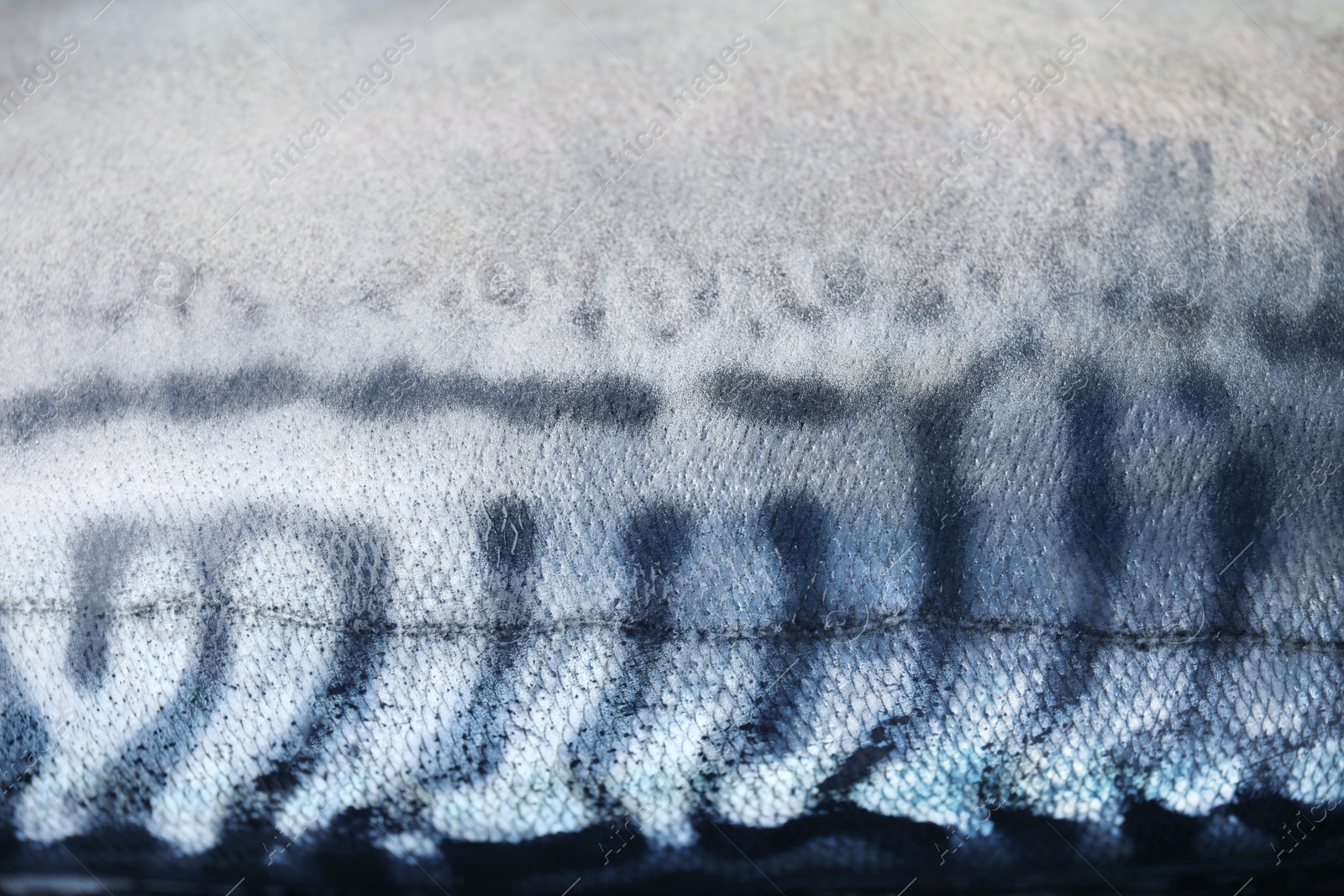 Photo of Texture of raw mackerel as background, closeup