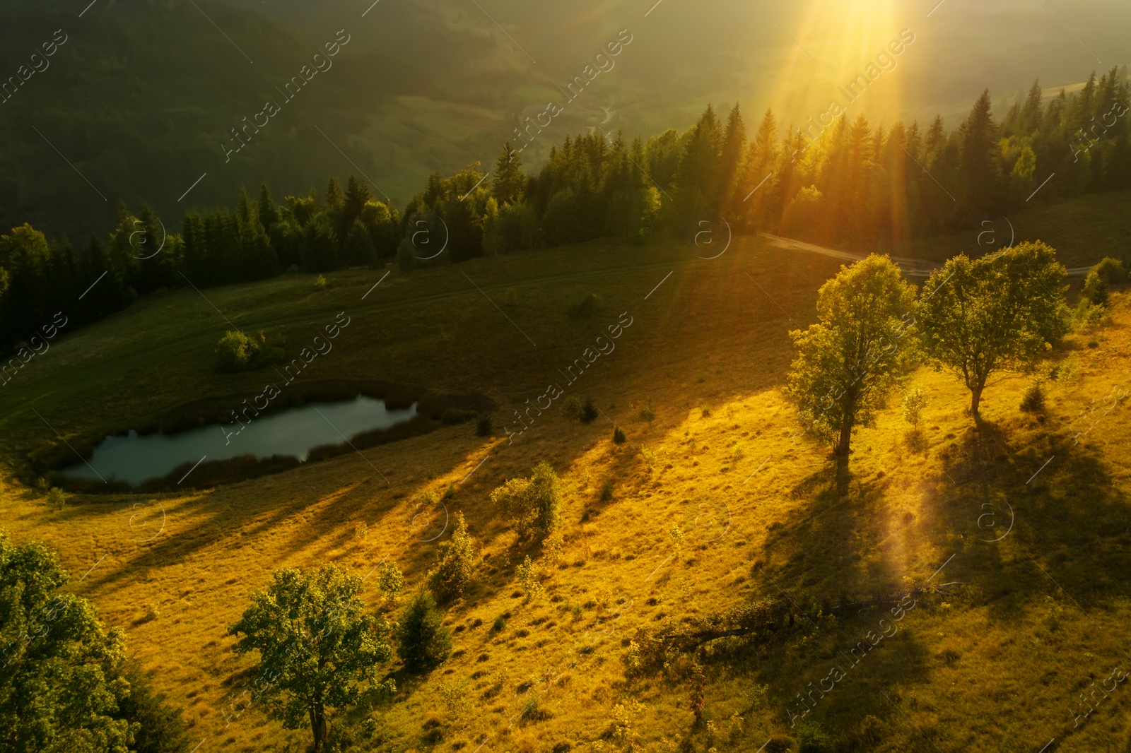 Image of Beautiful landscape with green hill and forest in mountains on autumn day. Drone photography