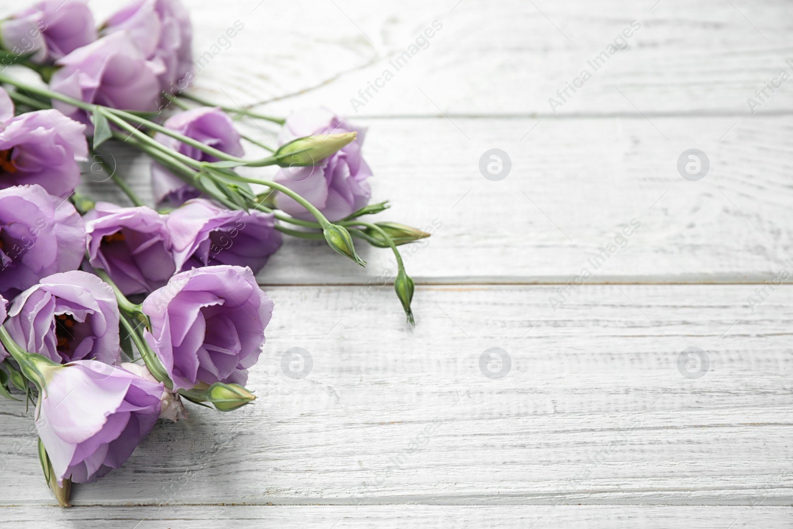 Photo of Beautiful fresh Eustoma flowers on white wooden table, space for text