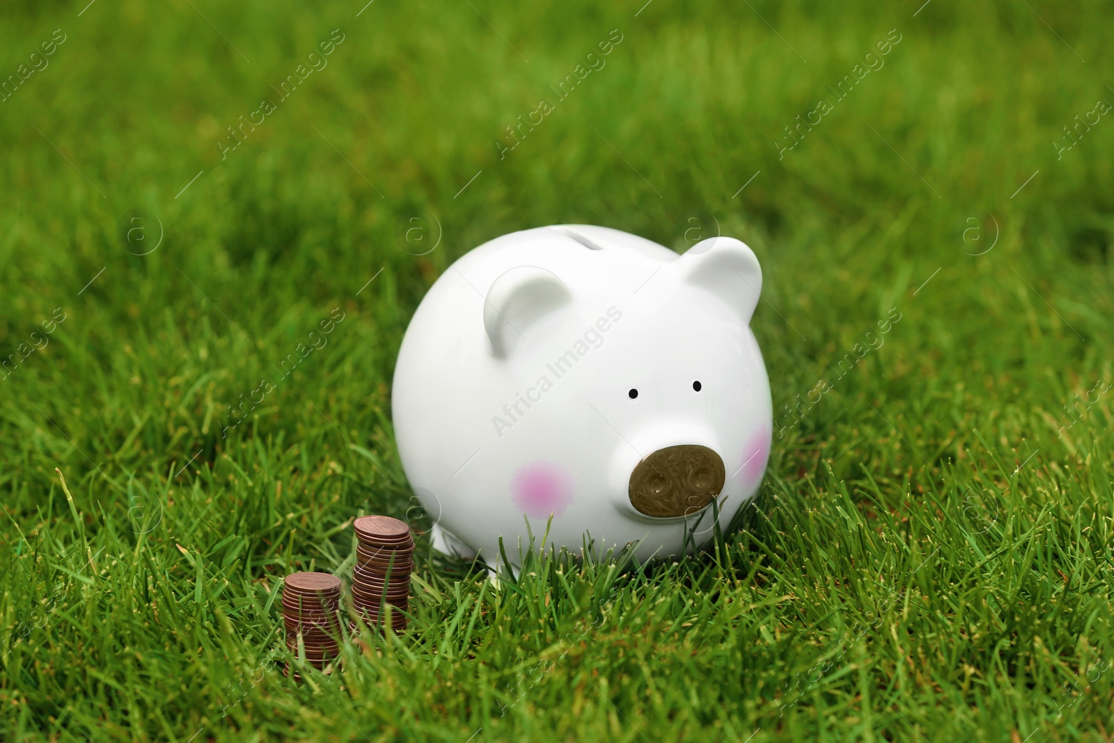 Photo of Cute piggy bank and coins on green grass outdoors