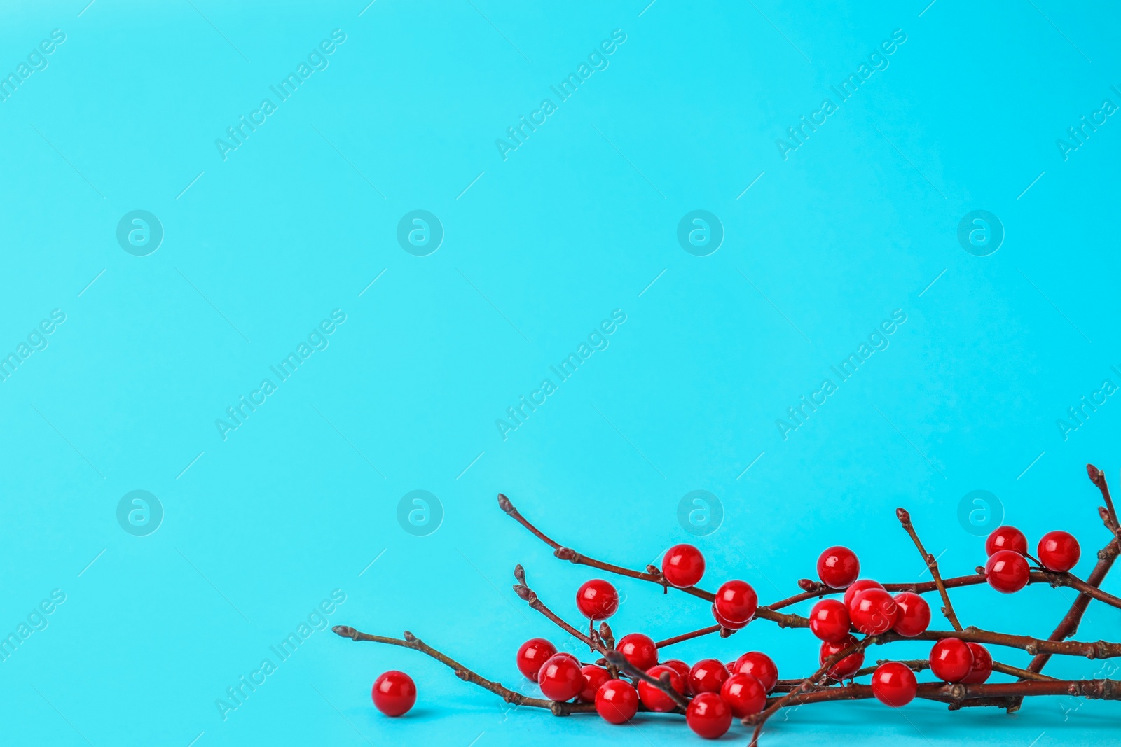 Photo of Decorative branches on light blue background, space for text. Winter season
