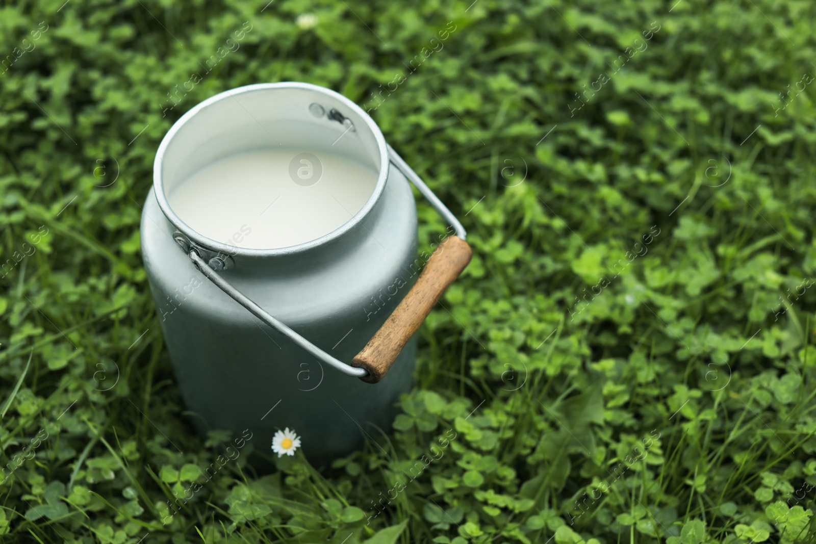 Photo of Can with fresh milk on green grass outdoors, space for text