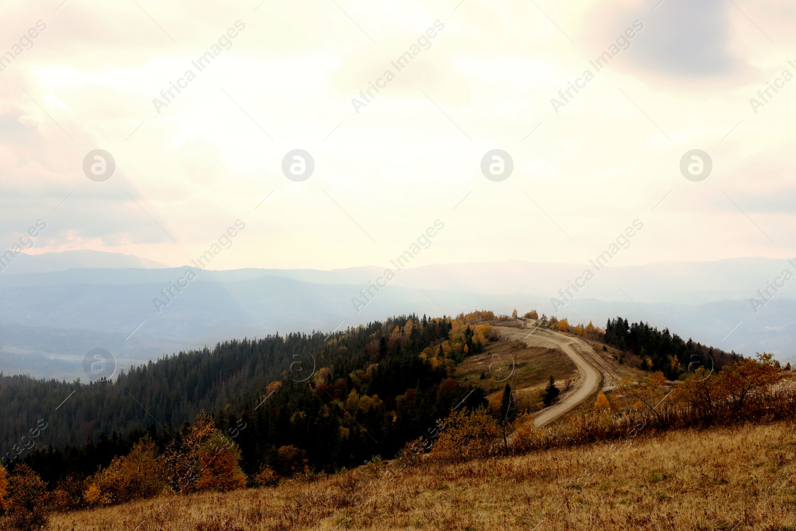 Photo of Beautiful landscape of forest with pathway in mountains on autumn day