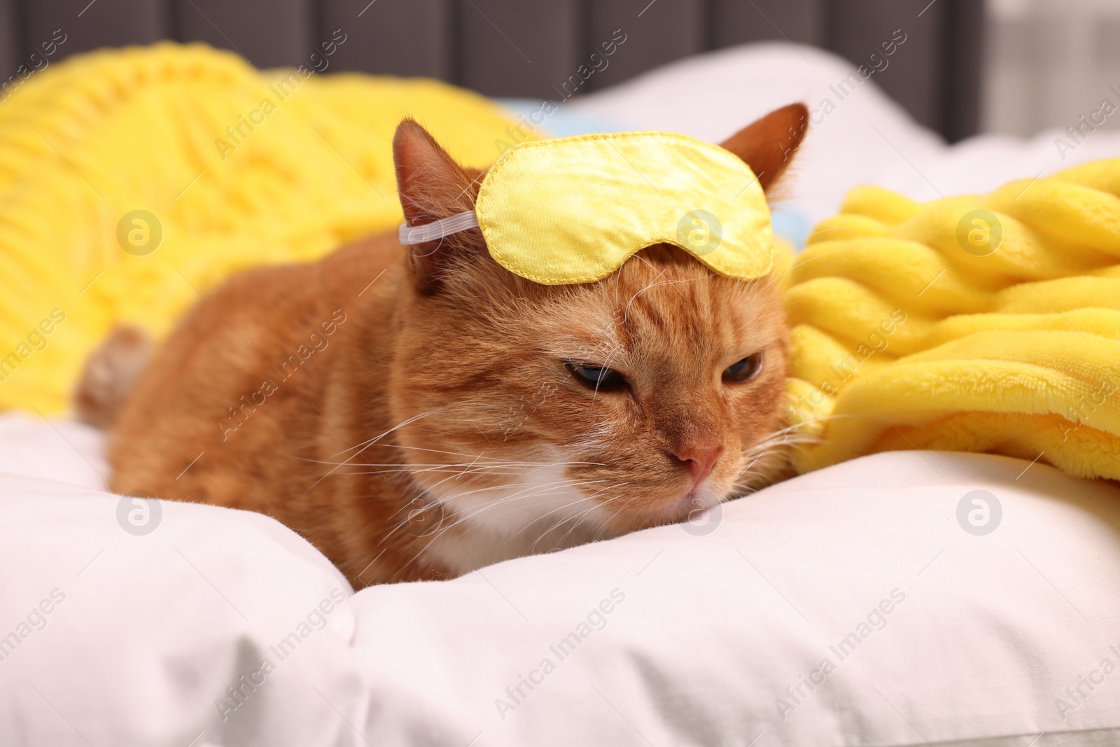 Photo of Cute ginger cat with sleep mask resting on bed