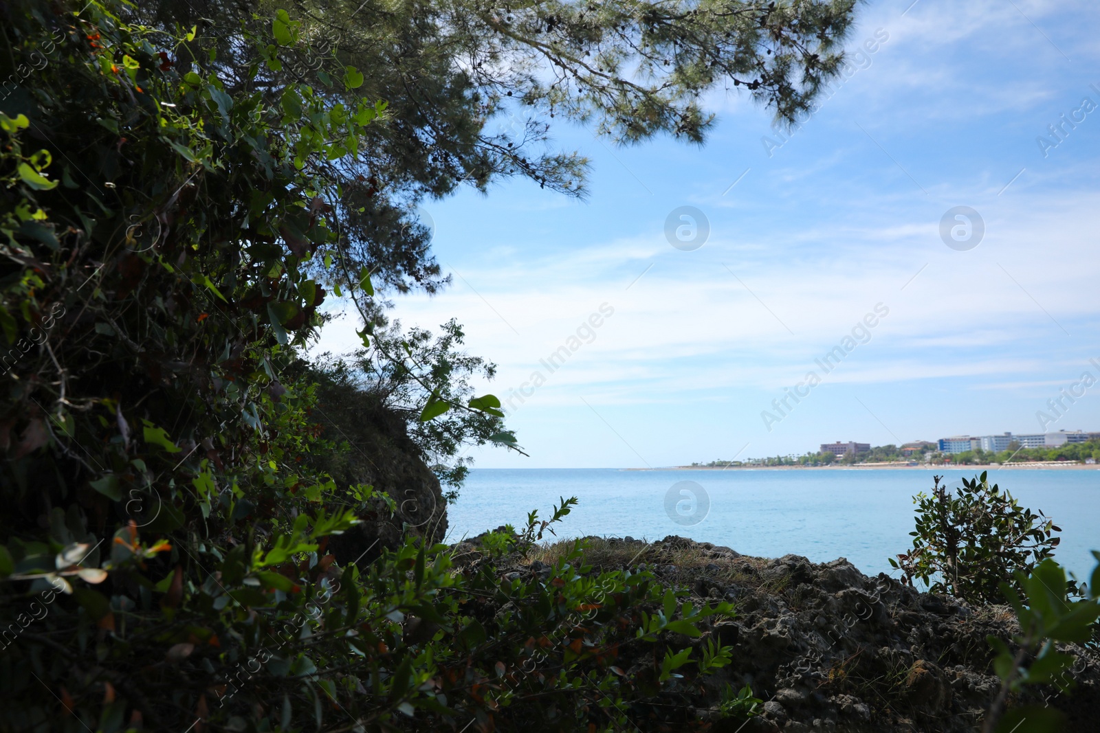 Photo of Beautiful view of rocky sea coast on summer day