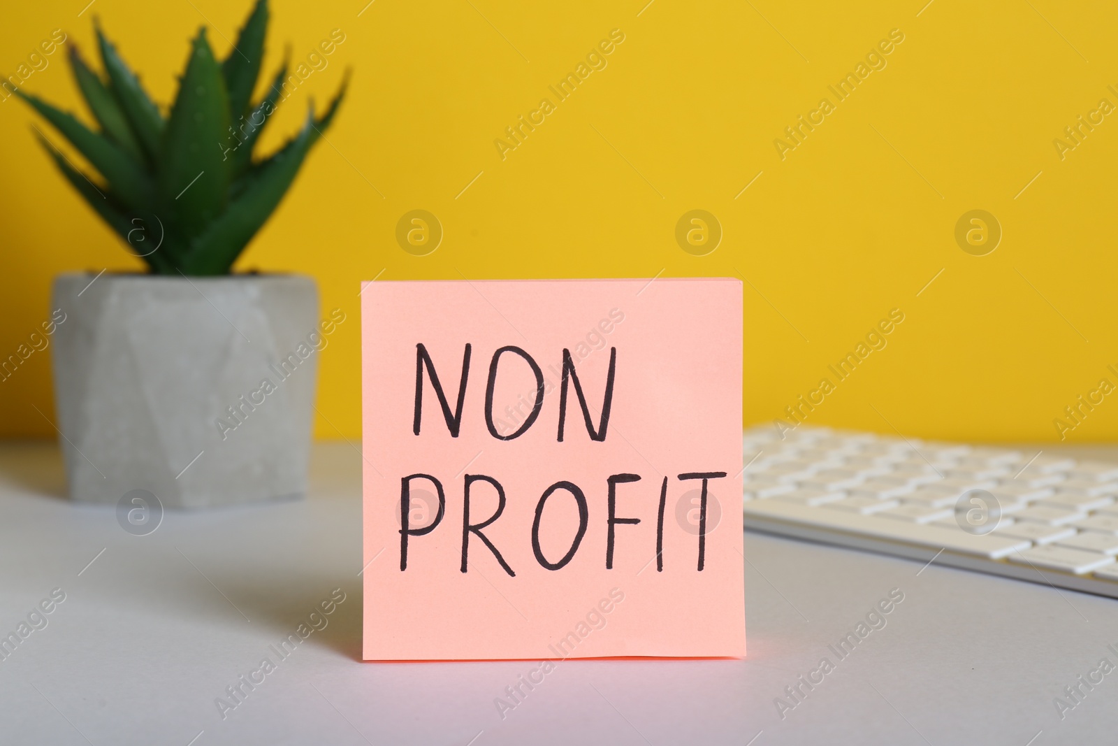 Photo of Paper note with phrase Non Profit, keyboard and houseplant on white table