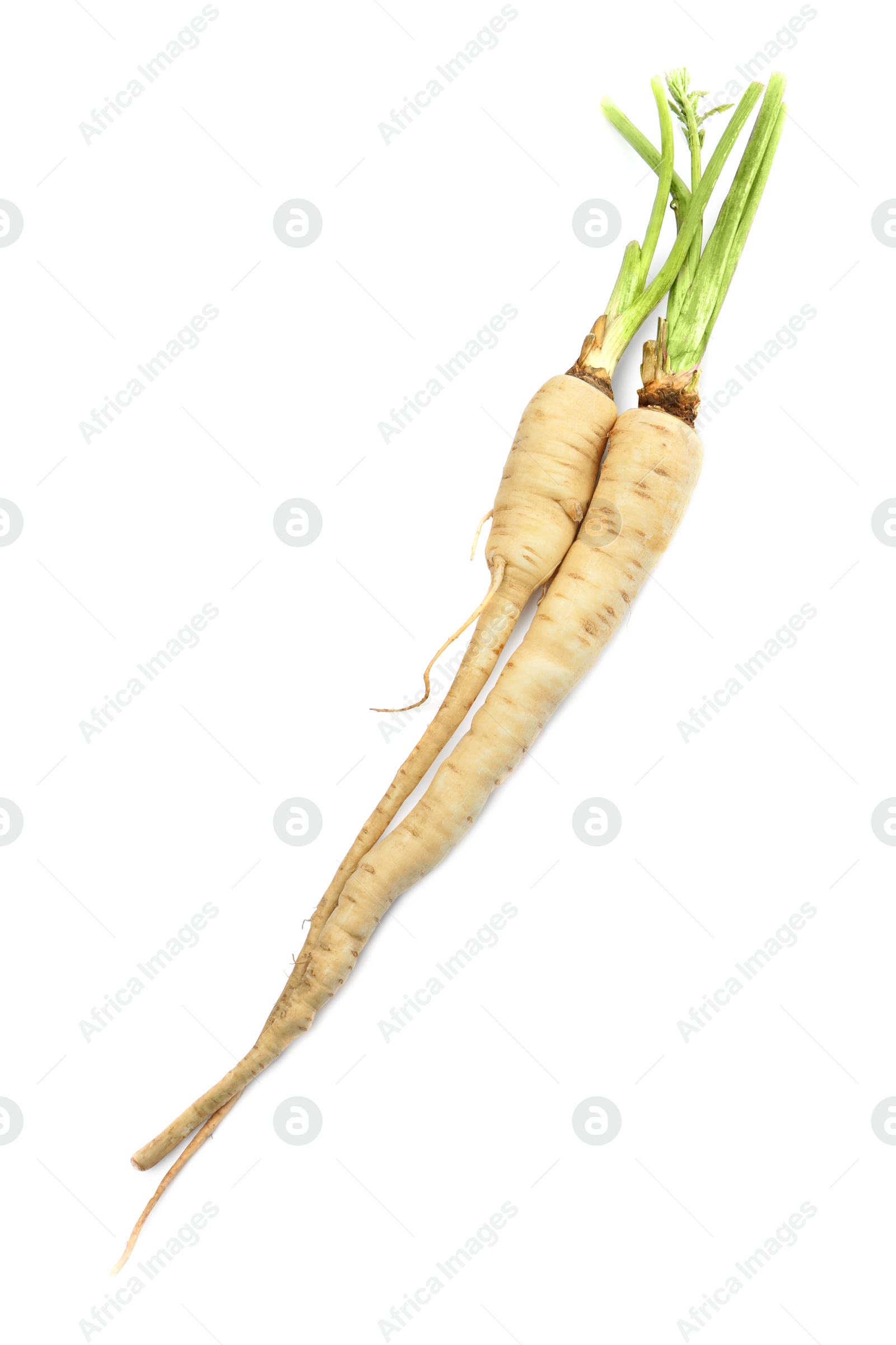 Photo of Tasty fresh ripe parsnips on white background, top view