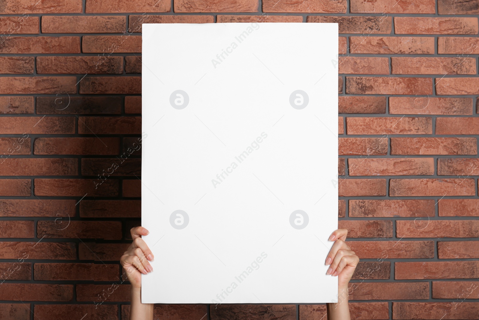 Photo of Woman holding white blank poster near red brick wall, closeup. Mockup for design
