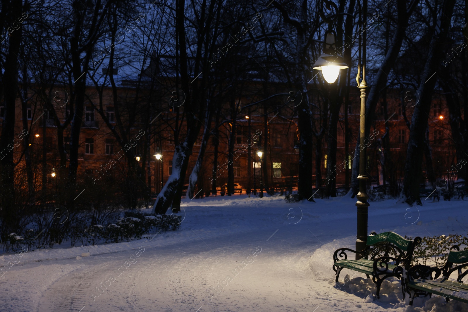 Photo of Trees, street lamp and pathway covered with snow in evening park