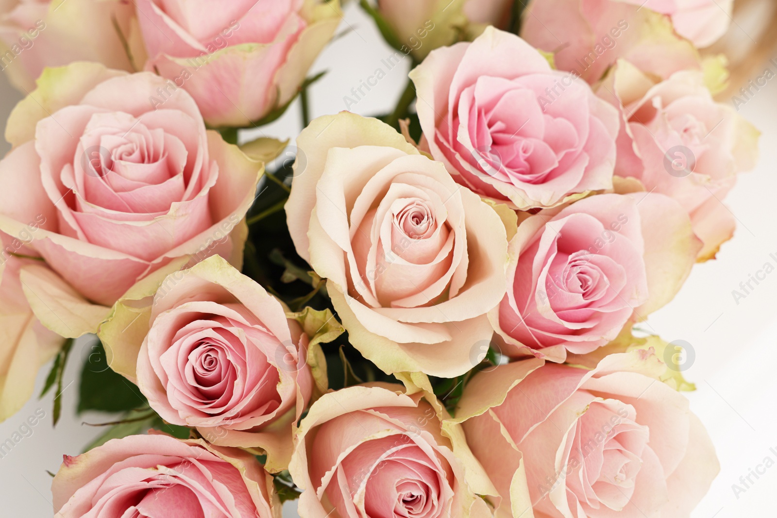 Photo of Beautiful bouquet of rose flowers, above view