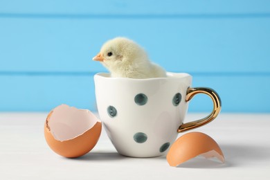 Cute chick in cup and pieces of eggshell on white wooden table, closeup. Baby animal