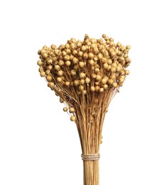 Photo of Bouquet of dried flowers on white background