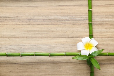 Photo of Flat lay composition with green bamboo stems on wooden background. Space for text