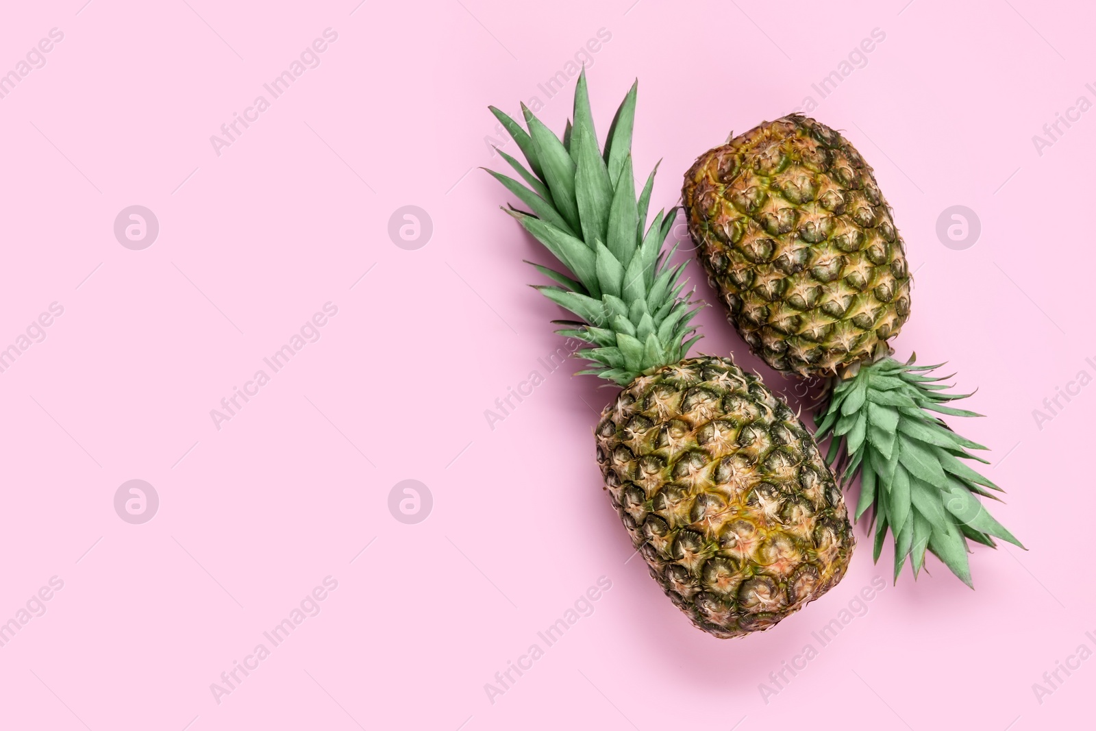 Photo of Whole ripe pineapples on pale pink background, flat lay. Space for text