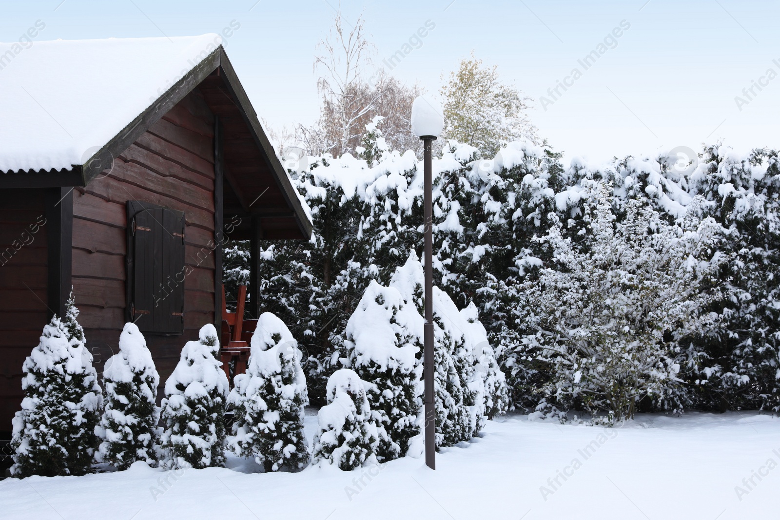 Photo of Winter landscape with wooden house, trees and bushes in morning