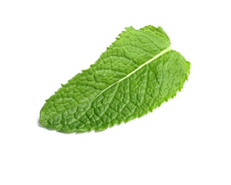 Fresh green mint leaf on white background