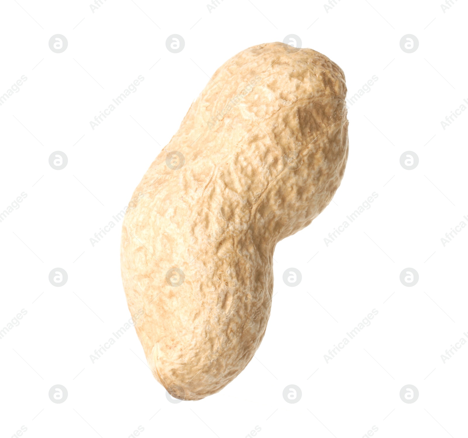 Photo of One fresh unpeeled peanut isolated on white