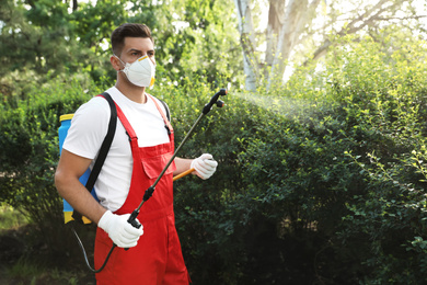 Worker with insecticide sprayer near green bush outdoors. Pest control