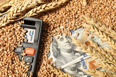 Dollar banknotes, calculator and wheat ears on grains, closeup. Agricultural business