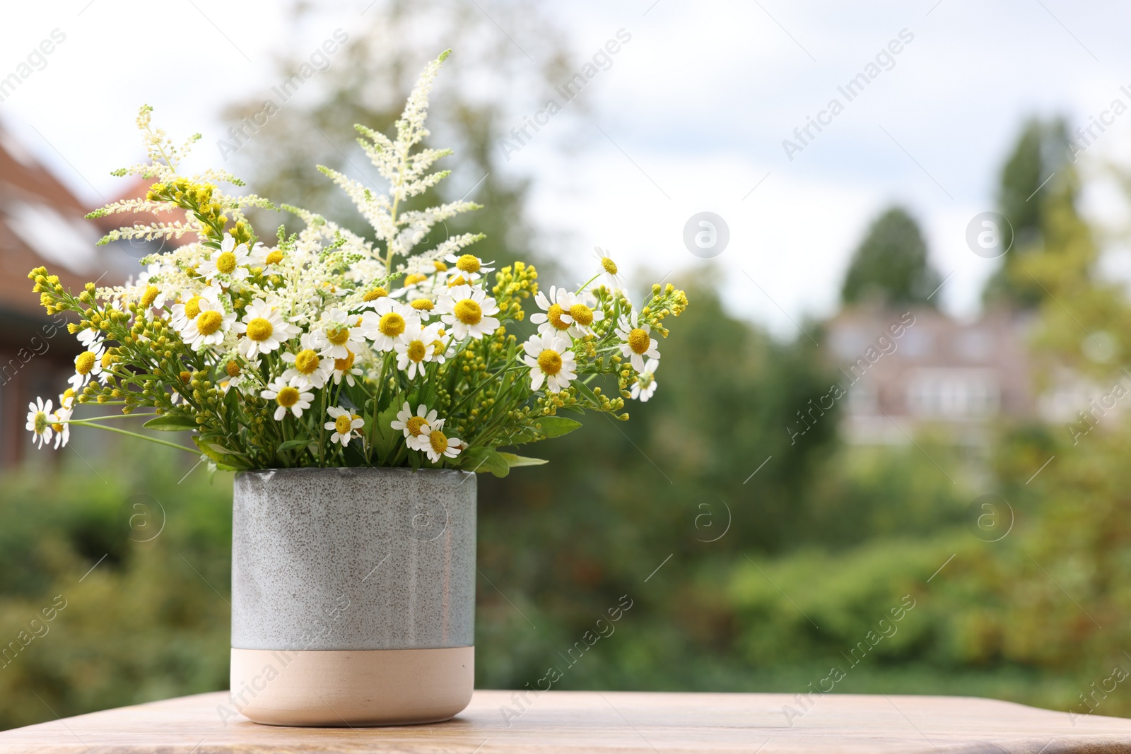 Photo of Bouquet of fresh flowers outdoors. Space for text