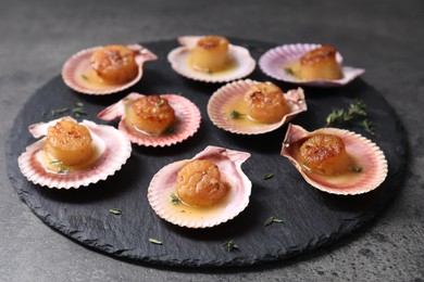 Delicious fried scallops in shells on grey table, closeup