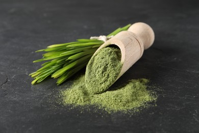 Photo of Wheat grass powder in scoop and fresh sprouts on grey textured table, closeup