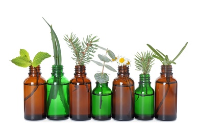 Glass bottles of different essential oils with plants on white background