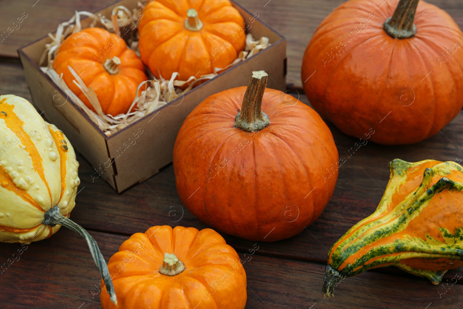 Photo of Crate and many different pumpkins on wooden table