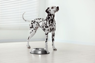 Photo of Adorable Dalmatian dog and feeding bowl indoors