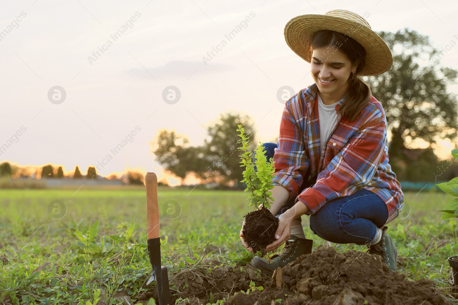 Photo of Young woman planting tree in countryside, space for text