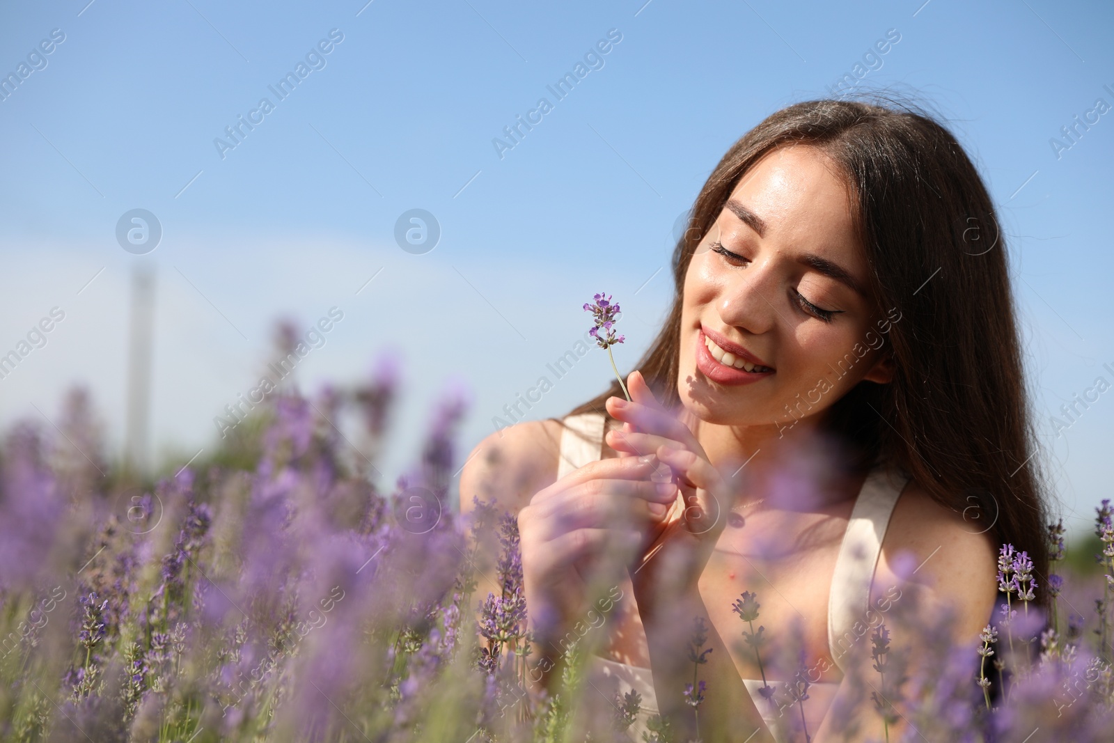 Photo of Young woman in lavender field on summer day