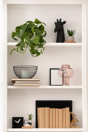 Photo of Stylish shelves with decorative elements and houseplant near white wall. Interior design