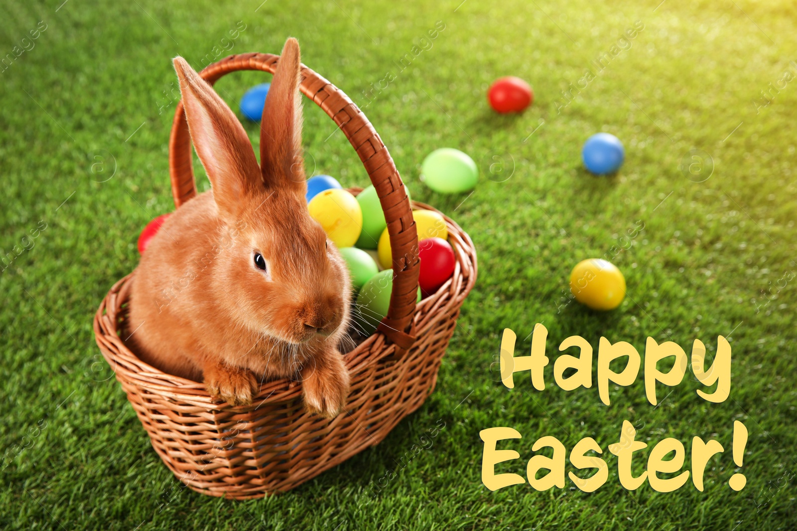 Image of Happy Easter! Cute bunny and dyed eggs on green grass