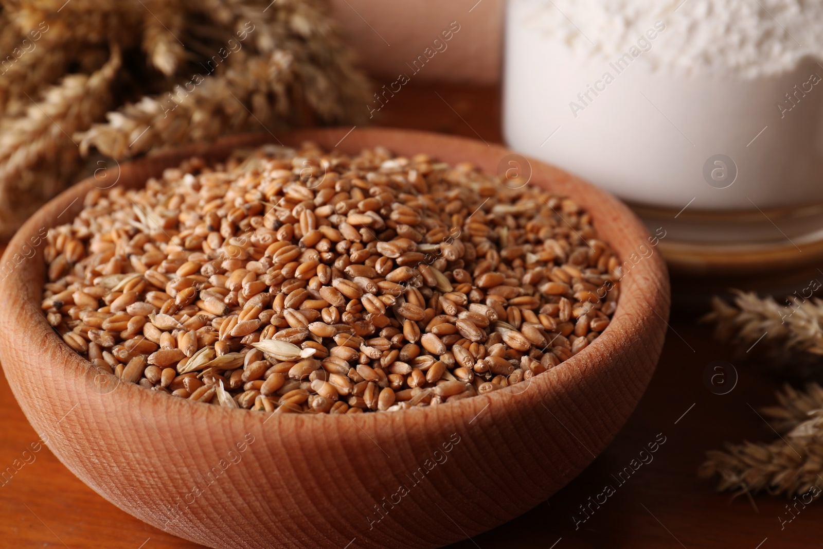 Photo of Wheat grains in bowl and spikes on wooden table, closeup