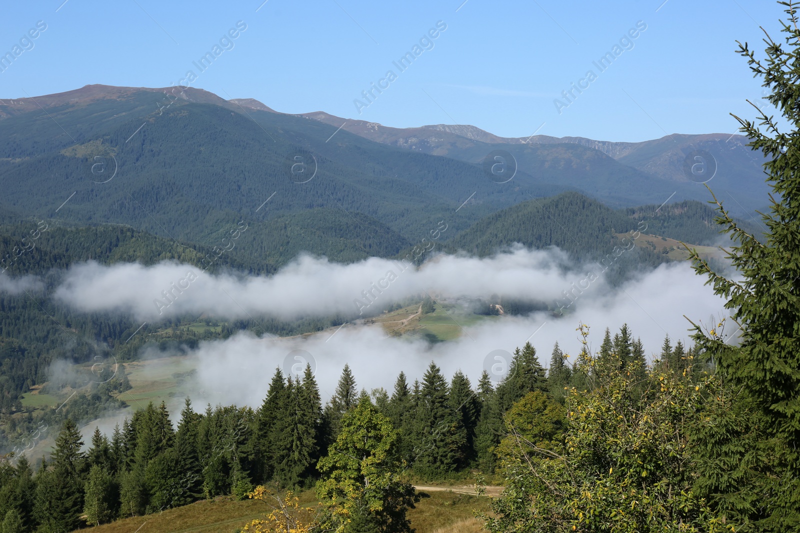 Photo of Picturesque view of mountains covered with fog