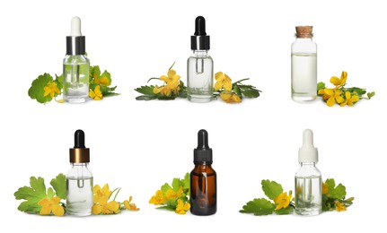 Set with celandine essential oil in bottles on white background
