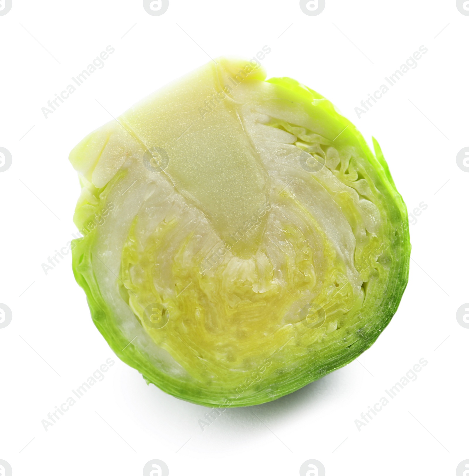 Photo of Fresh cut Brussels sprout on white background