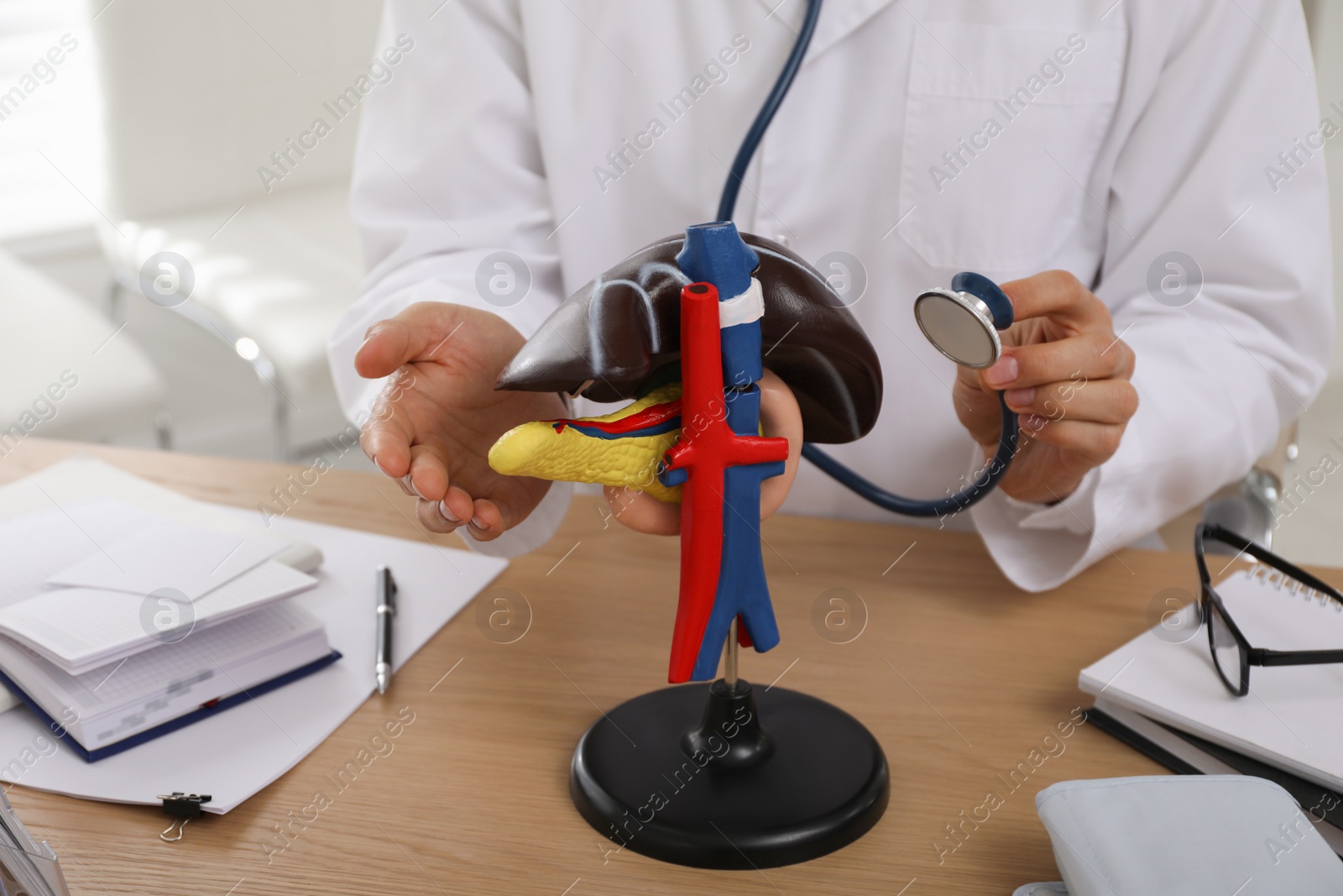 Photo of Doctor with stethoscope and liver model at workplace, closeup